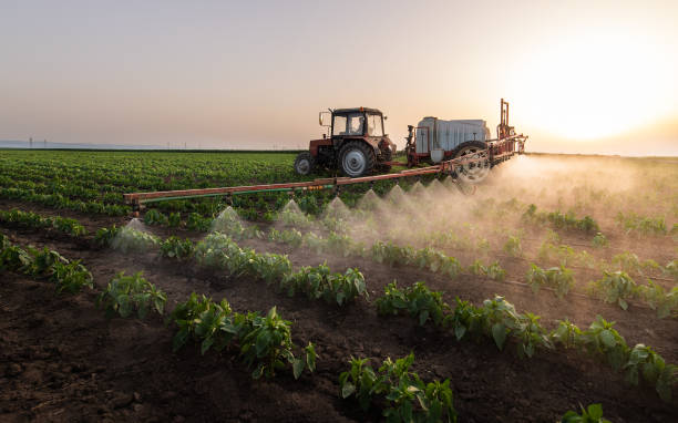 Best Commercial Pest Control Services  in Church Point, LA