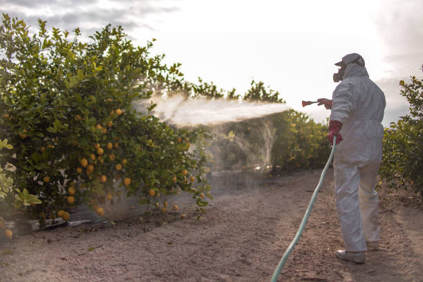 Pest Control for Restaurants in Church Point, LA