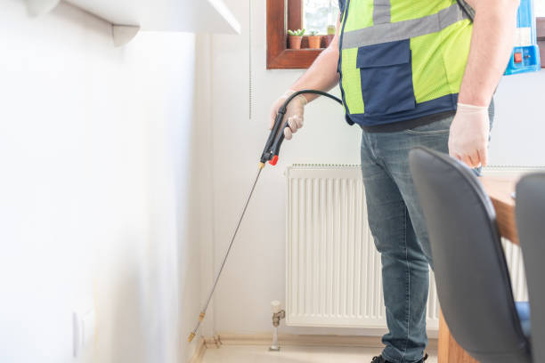 Best Wasp Removal Services  in Church Point, LA