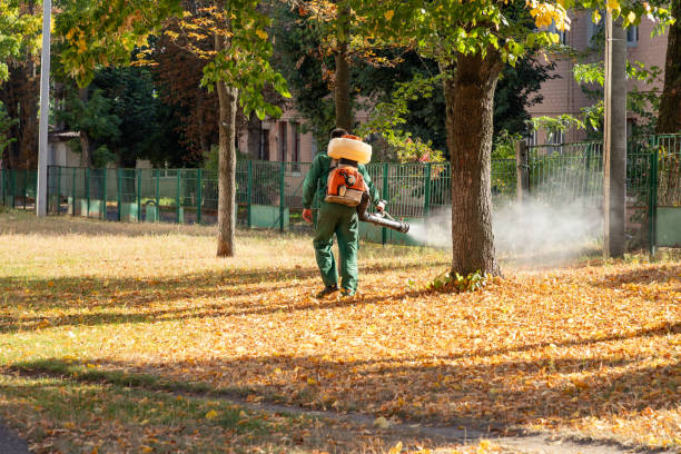 Best Best Pest Control Companies  in Church Point, LA